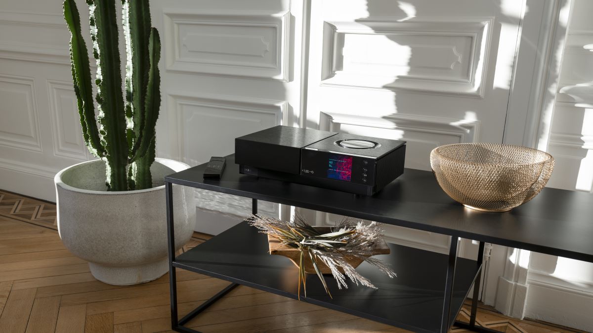 Naim Audio Uniti Nova PE streaming amplifier Lifestyle image on Cabinet with Cactus in pot. hi-fi from loud and clear glasgow, scotland, uk