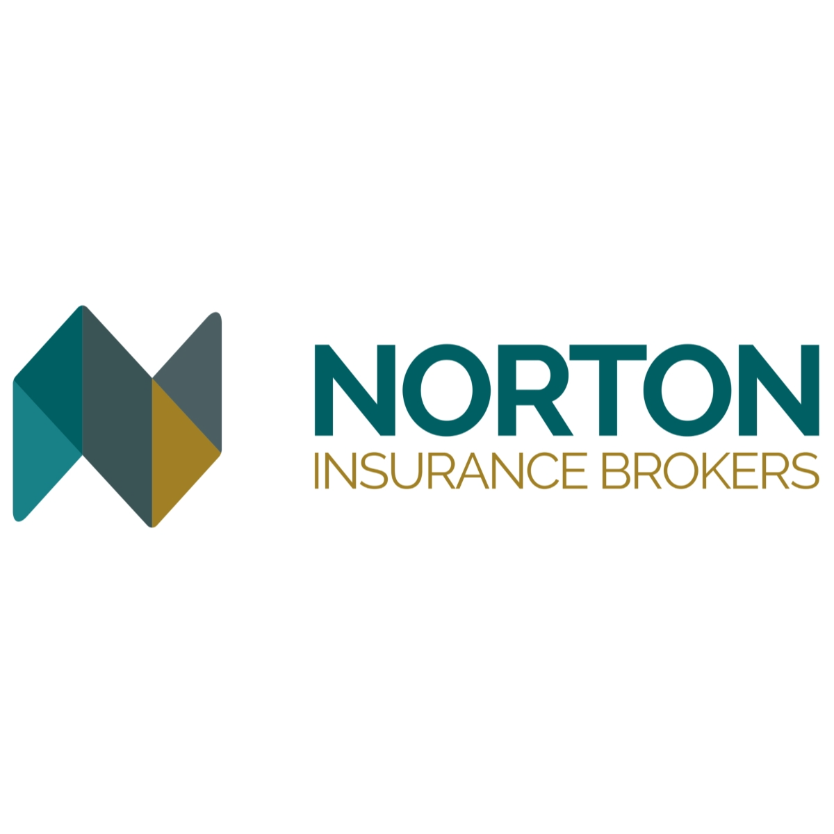 norton insurance brokers logo, specialist cover for your hi-fi and music and memorabilia collections from loud and clear glasgow, scotland, uk