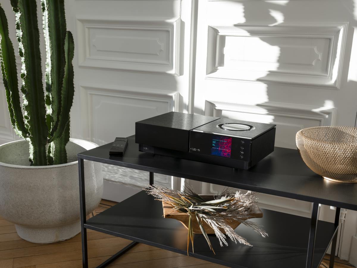 Naim Audio Uniti Nova PE streaming amplifier Lifestyle image on Cabinet with Cactus in pot. hi-fi from loud and clear glasgow, scotland, uk